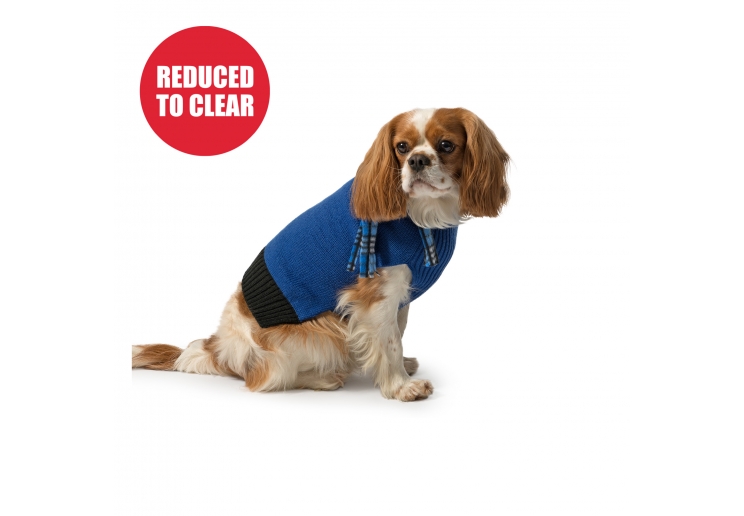 Blue Scarf Dog Jumper L