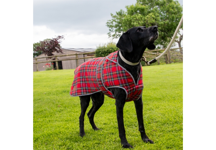 Heritage Red Tartan XL