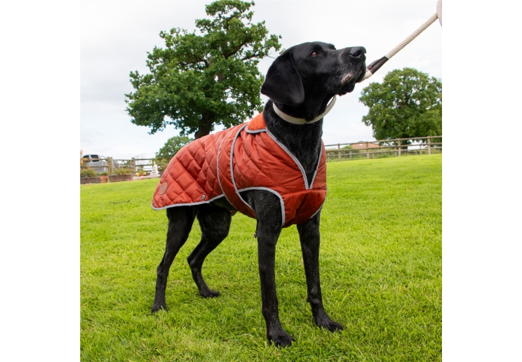 Heritage Terracotta Quilted Coat XXL