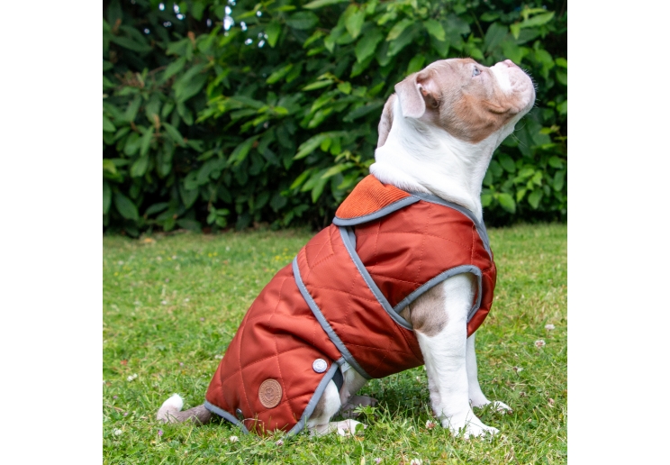 Heritage Terracotta Quilted Coat XXL