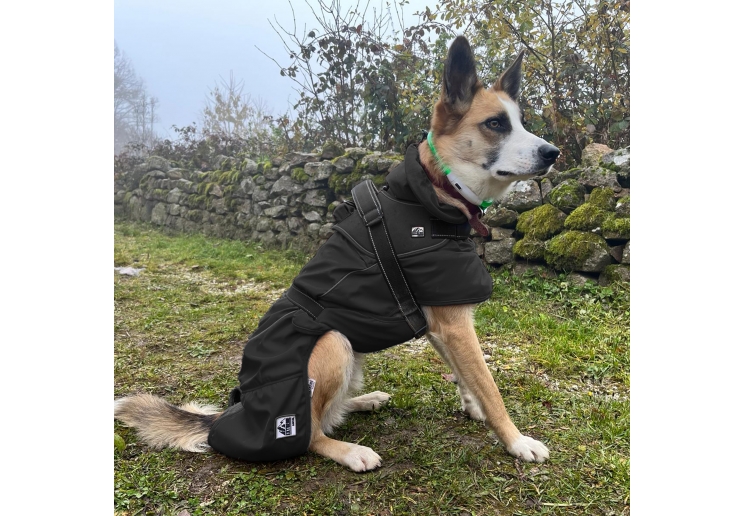 Extreme Blizzard Dog Coat Black 25cm XS
