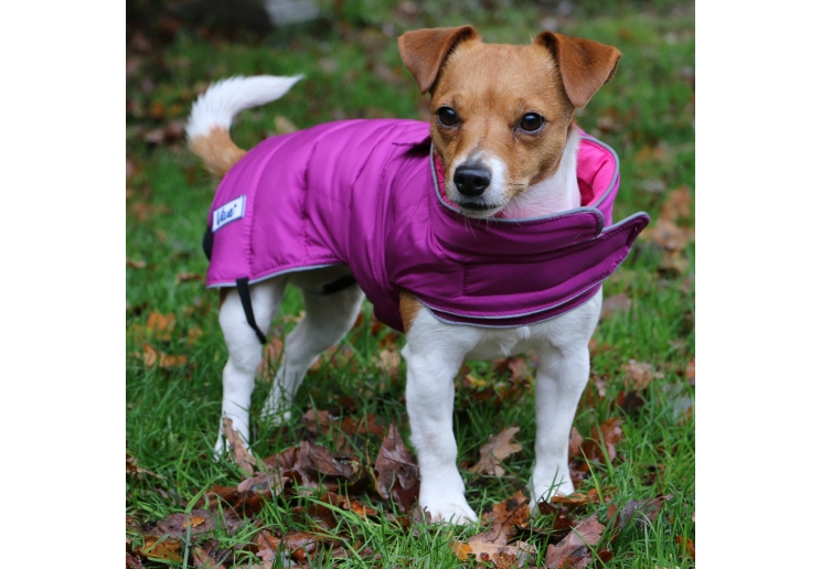 Viva Reversible Coat Pink/Purple 50cm Large