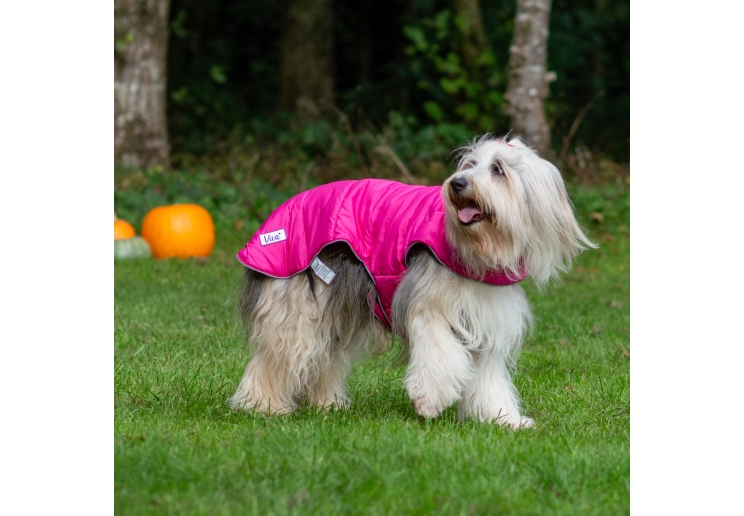 Viva Reversible Coat Pink/Purple 50cm Large