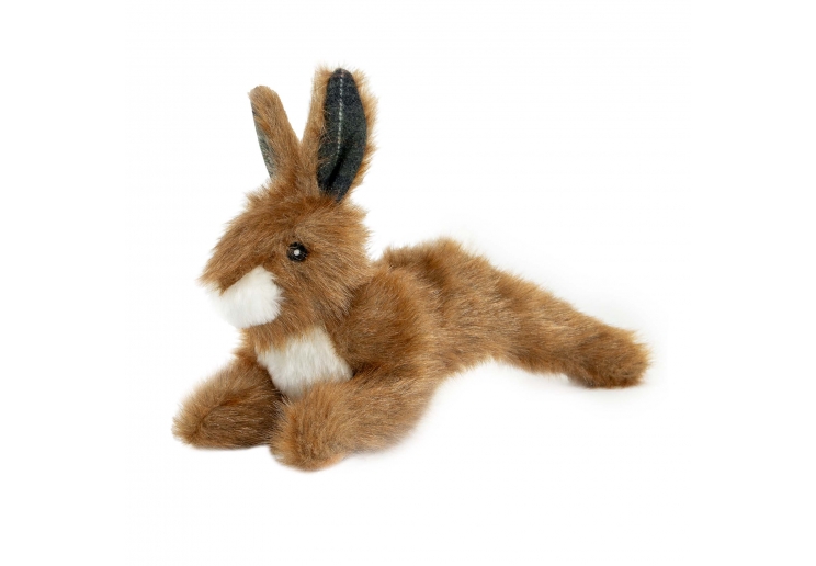 Heritage Harris Hare