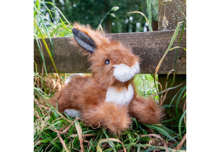 Heritage Harris Hare