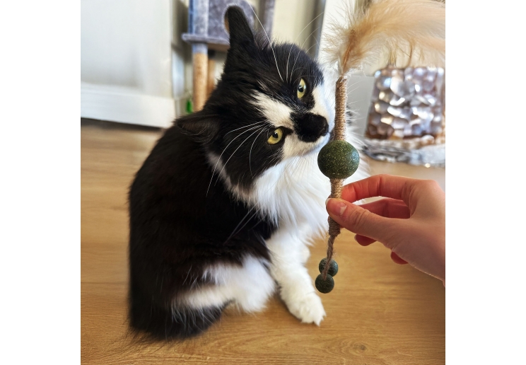 Catnip Stick