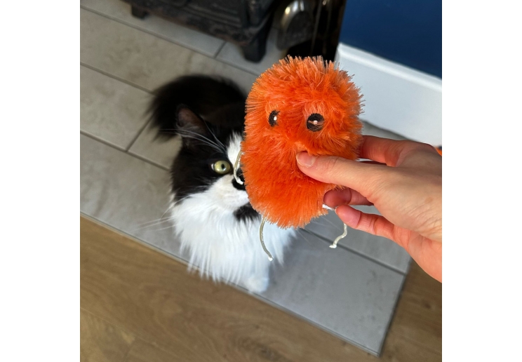 Lacey The Sweet Potato