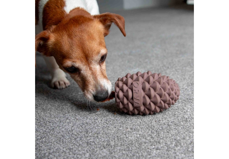 Orva Large Pine Cone - Medium Chewers