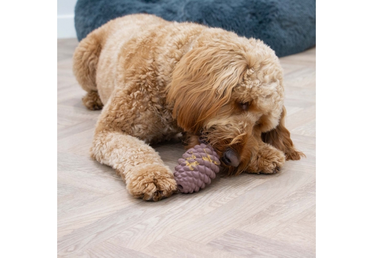 Orva Large Pine Cone - Medium Chewers