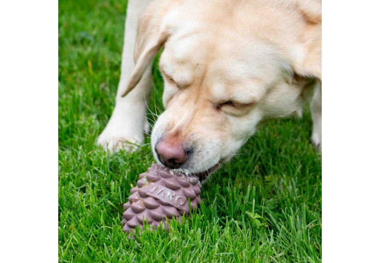 Orva Large Pine Cone - Medium Chewers
