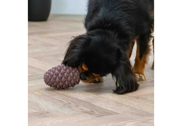 Orva Large Pine Cone - Medium Chewers
