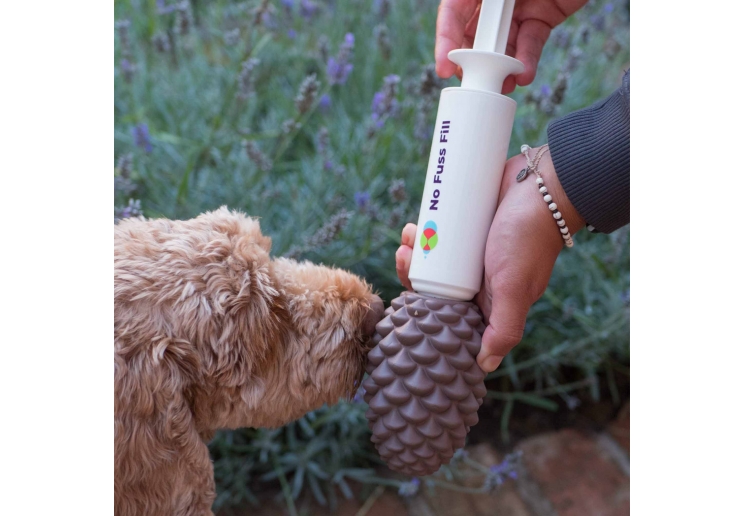 Orva Large Pine Cone - Medium Chewers