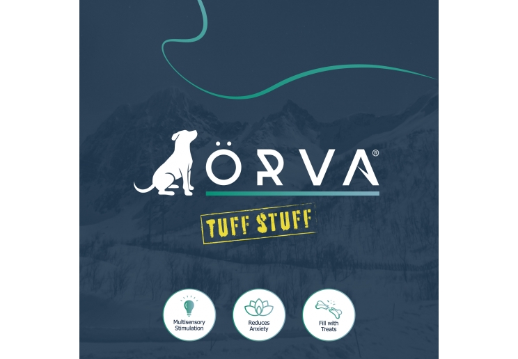 Orva Large Pine Cone - Medium Chewers