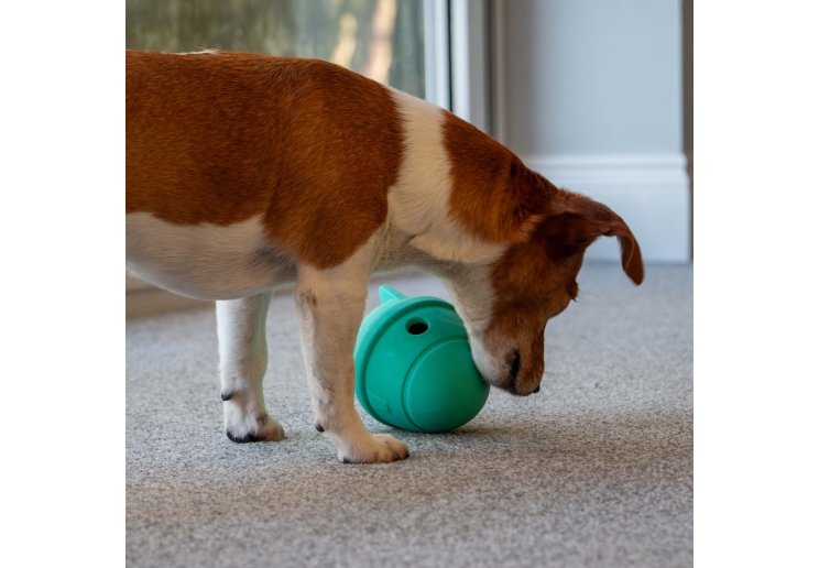 Orva Rocket Treat Toy