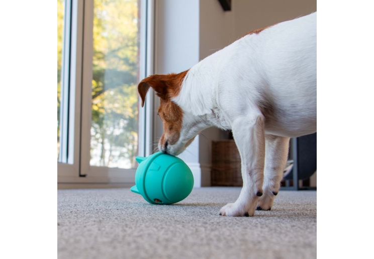 Orva Rocket Treat Toy