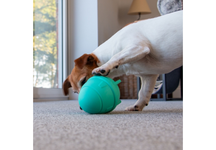 Orva Rocket Treat Toy