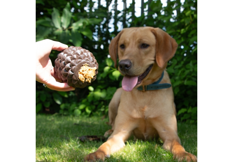 Orva Pine Cone