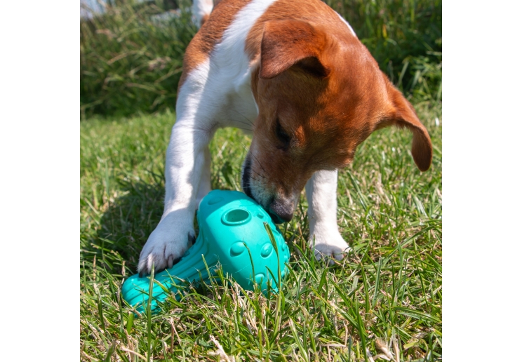 Orva Mushroom Treat Toy