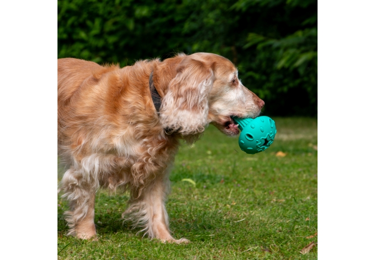 Orva Mushroom Treat Toy