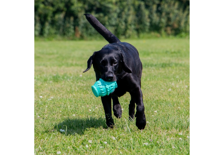Orva Treat Barrel