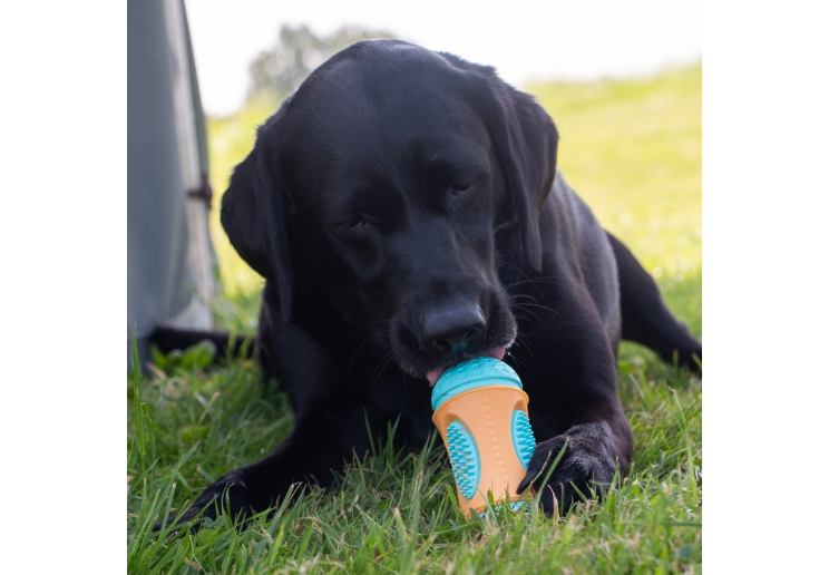 Orva Sensory Roll Treat Toy