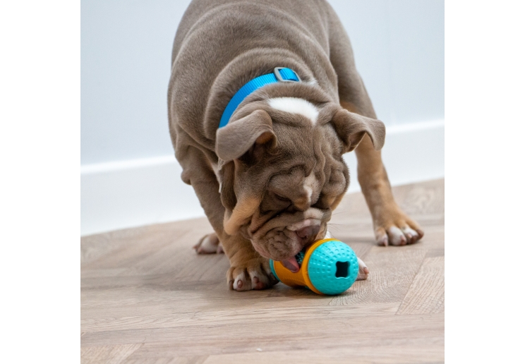 Orva Sensory Roll Treat Toy