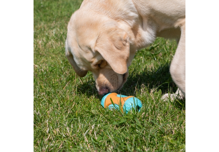 Orva Sensory Roll Treat Toy