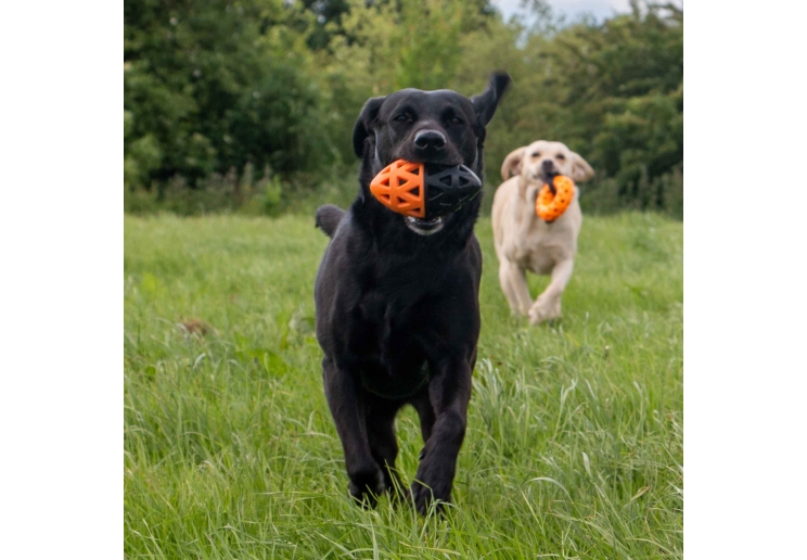 Tough Floating Rugby Ball