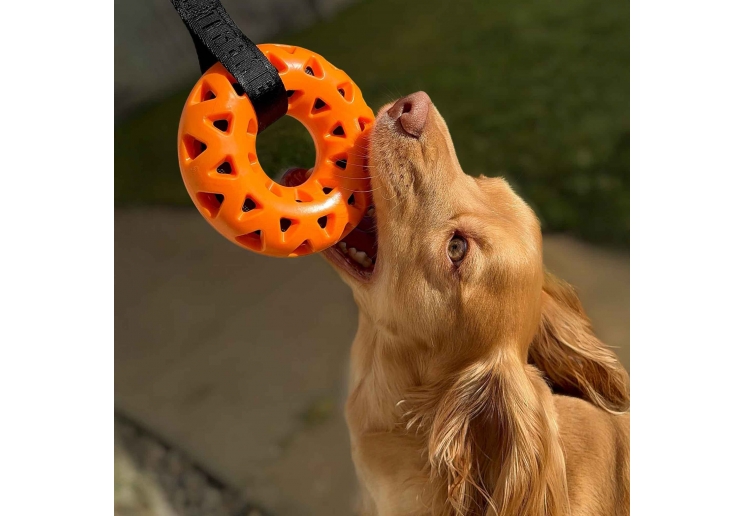 Tough Floating Donut with Strap