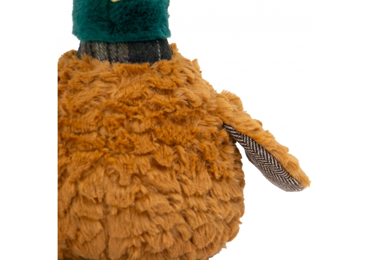 Heritage Phoebe Pheasant