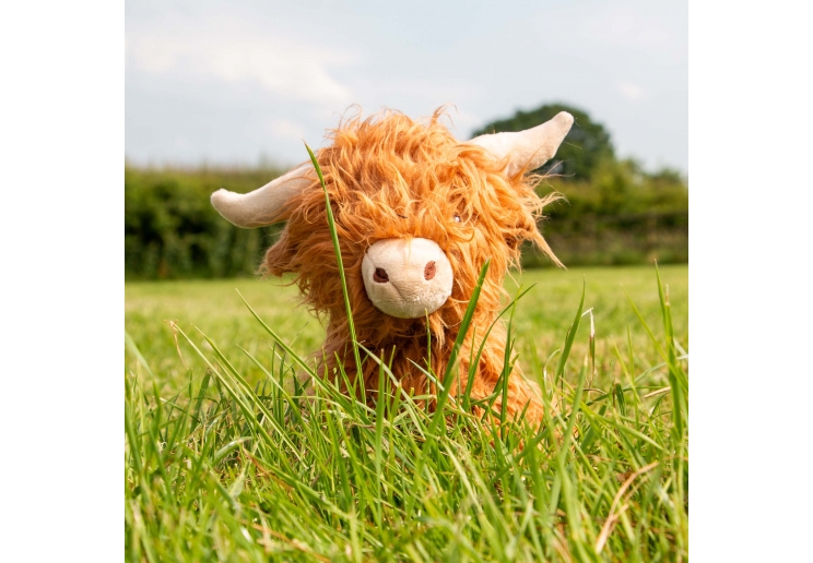 Heritage Fergus Highland Cow
