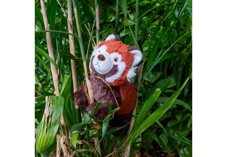 Made From Rosa Red Panda