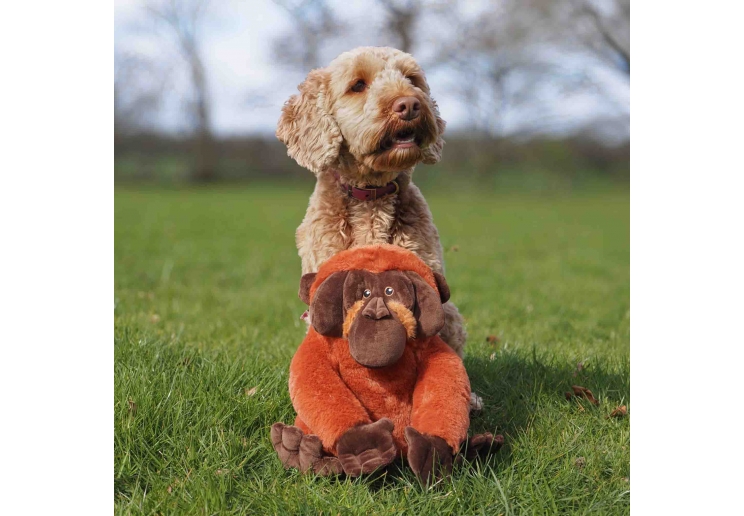 Made From Oswold Orangutan
