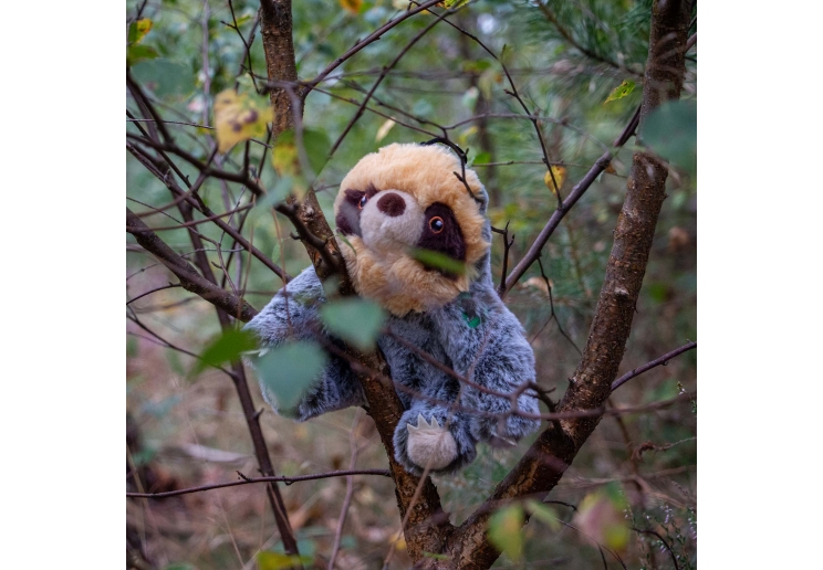 Made From Scout Sloth Mini