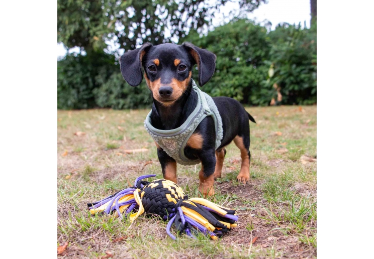 Playtime Squeak T-Shirt Rope Ball Small