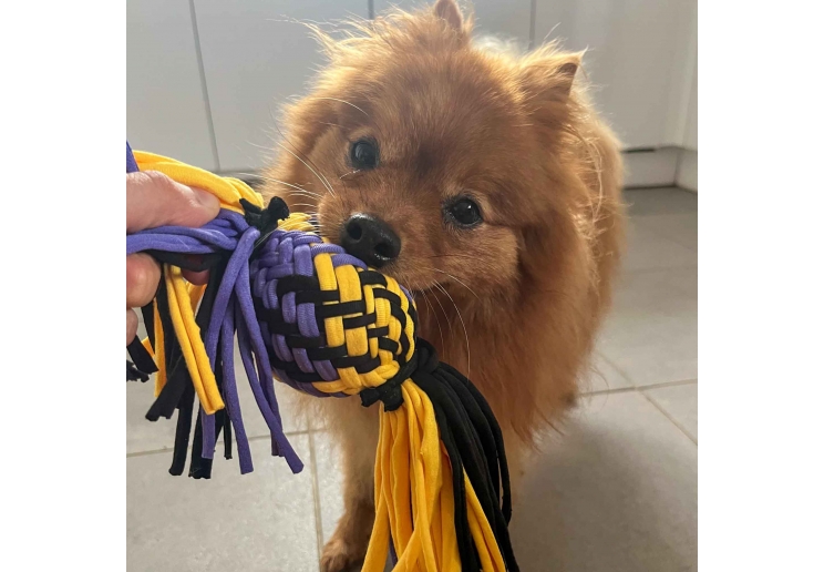 Playtime Squeak T-Shirt Rope Ball Small