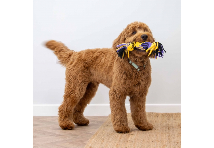 Playtime Squeak T-Shirt Rope Tug