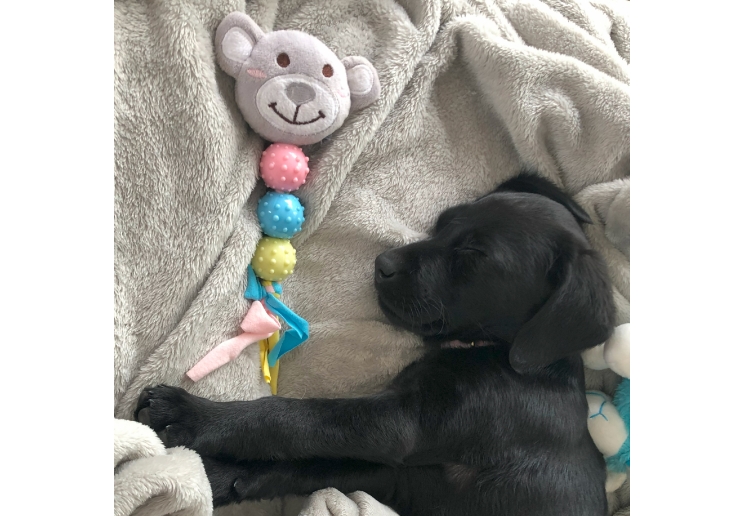 Small Bite Bear Bunny And Heart Teether