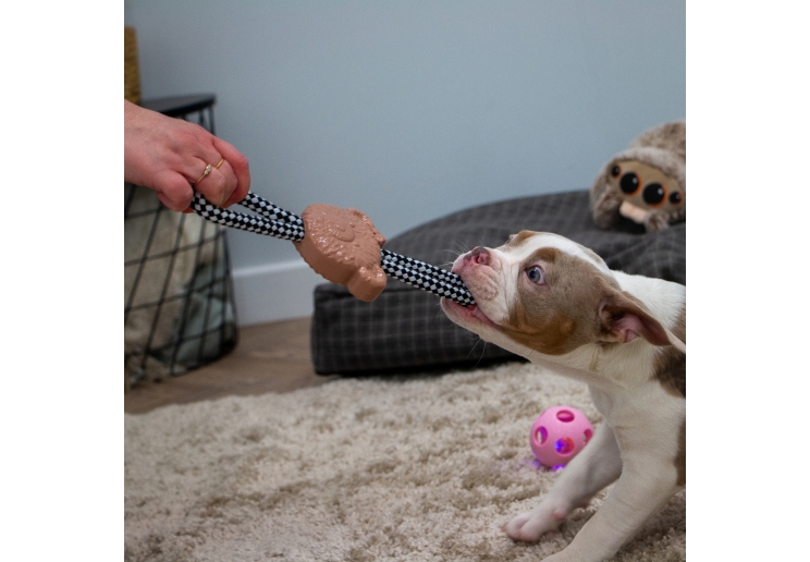 Small Bite Teddy Teether Tugger