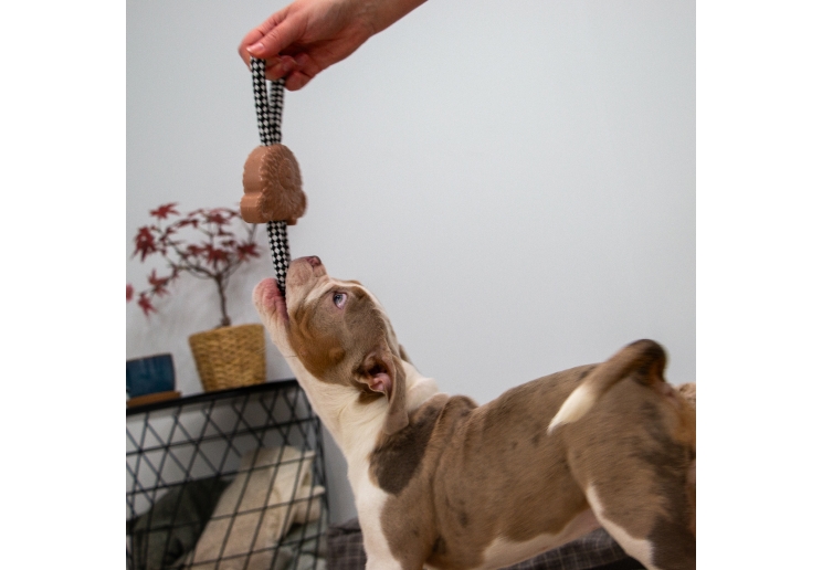 Small Bite Teddy Teether Tugger