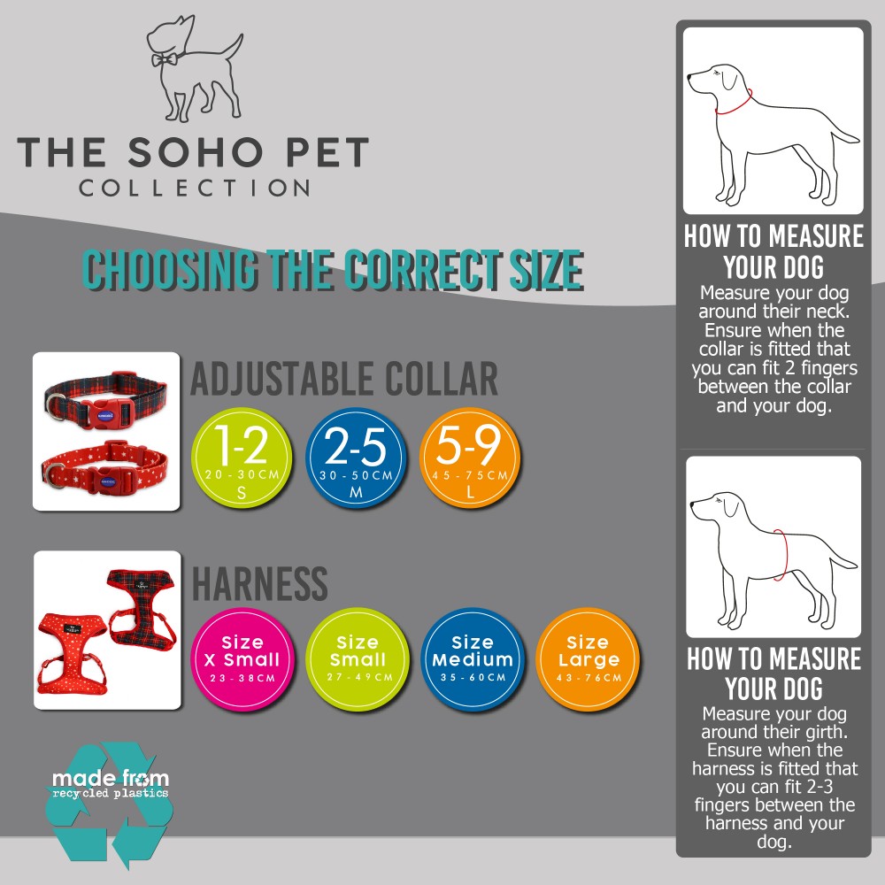 The Soho Pet Collection Blog